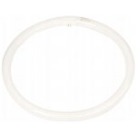 Philips kruhová Master TL-E Circular Super 80 40W/840 T9 G10q neutrální bílá – Hledejceny.cz