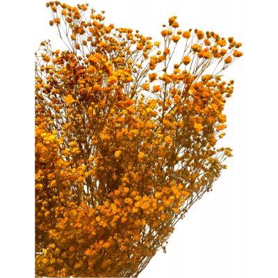 Nevěstin závoj/stabilizovaná Gypsophila svazek/kytice oranžová 45g – Zbozi.Blesk.cz