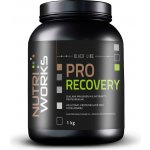 NutriWorks Pro Recovery 2000 g – Zboží Dáma