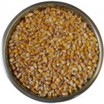 ZS Dynín Kukuřice krmná zrno 25 kg – Zboží Dáma