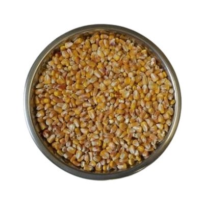 ZS Dynín Kukuřice krmná zrno 25 kg – Zboží Dáma