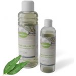 CamenaSpa Tasmánský eukalyptus 1 l – Hledejceny.cz