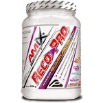 Amix Reco-Pro 500 g – Zbozi.Blesk.cz