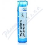 HEPAR SULFURIS CALCAREUM POR 9CH GRA 4G – Hledejceny.cz