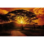 Postershop Fototapeta vliesová Africký západ slunce, rozměry 254x368 cm – Zboží Mobilmania
