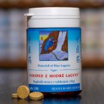 TCM Herbs Vodopád z modré laguny 100 tablet – Hledejceny.cz