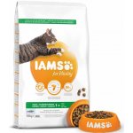 Iams Adult Cat Ocean Fish 20 kg – Hledejceny.cz