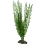 Hobby Aponogeton 39 cm umělá – Hledejceny.cz
