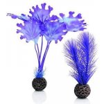 Biorb rostliny malé fialové, 2 ks, 20 cm 46079 – Sleviste.cz