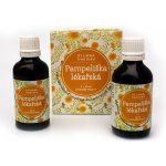 Ondřej Ullrich Tinktura Pampeliška lékařská 2 x 50 ml – Hledejceny.cz