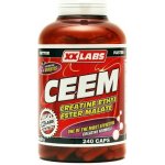 XXtreme Nutrition CEEM 240 kapslí – Hledejceny.cz