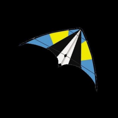 Günther Sportovní řiditelný drak SKY MOVE 160 x 80 cm – Hledejceny.cz