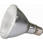 Repti Zoo Halogen Basking Spot 100 W – Zboží Mobilmania