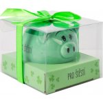 Albi Prasátko pro radost pokladnička Pro Tebe 6 x 7,5 cm – Zbozi.Blesk.cz