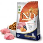 N&D Pumpkin Puppy Mini Grain Free Lamb & Blueberry 7 kg – Zboží Mobilmania