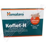 Himalaya Koflet H Ginger 12 pastilek – Hledejceny.cz