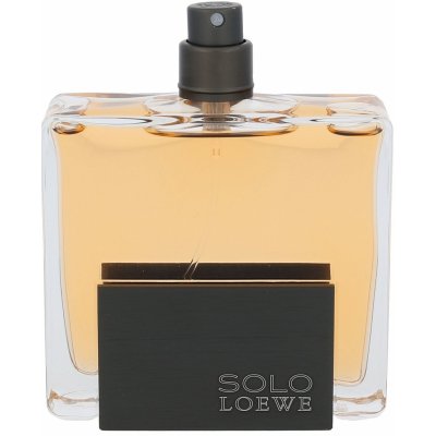 Loewe Solo toaletní voda pánská 75 ml – Hledejceny.cz