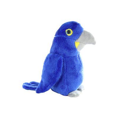 Papoušek modrý