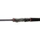 Daiwa TOURNAMENT SW AGS JIGGERSPIN 2,2 m 3,5-14 g 2 díly