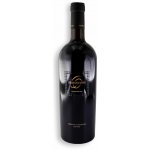 San Marzano 60 Sessantanni Limited Edition Old Vines Primitivo di Manduria 2019 Červené 14,5% 0,75 l (holá láhev) – Hledejceny.cz
