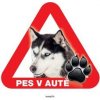 Autovýbava Grel nálepka na plech pozor pes v autě husky