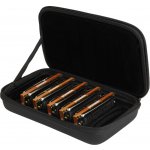 Hohner Blues Harp ProPack (C-, D-,E-, G-, A-major) – Zboží Mobilmania