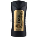 Axe Gold Temptation sprchový gel 250 ml – Zboží Mobilmania