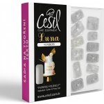 Plastové otiskovače a vykrajovátka Cesil Číslice a znaky (12 ks) – Hledejceny.cz