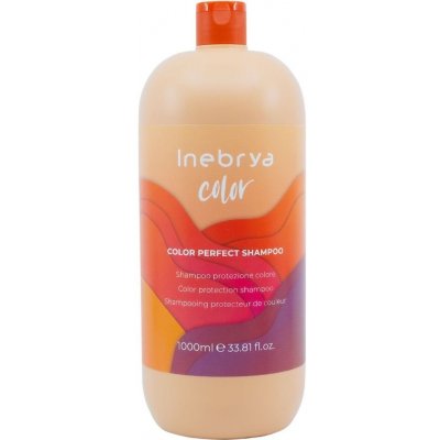 Inebrya Pro-Color Color Perfect Shampoo 1000 ml – Zboží Mobilmania