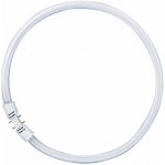 Osram FC40W 830, Kruhová zářivka FC40W 830, Teplá bílá 3000K, Ra80-90, T5, 2GX13, 3200lm, d=300mm – Zboží Mobilmania