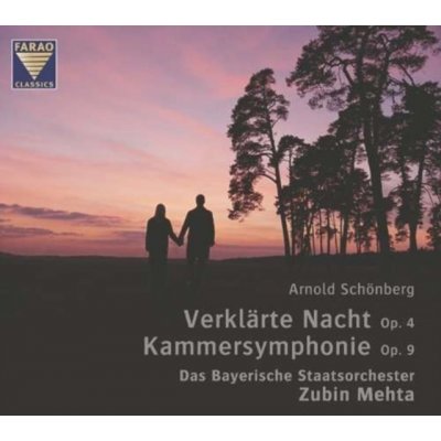 Arnold Schoenberg - Schnberg - Verklrte Nacht; Chamber Symphony No 1 CD – Hledejceny.cz