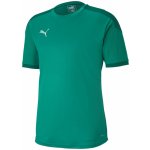 Puma Team Final 21 Training Jersey zelená – Sleviste.cz