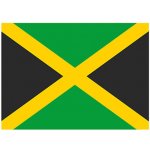 Printwear Vlajka Jamajka Flagjn Jamaica 90 x 150 cm – Hledejceny.cz