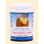 TCM Herbs Údolí oblaků a deště 100 tablet – Hledejceny.cz