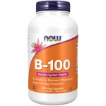 Now Foods Vitamin B-100 Complex 250 veg kapslí – Hledejceny.cz