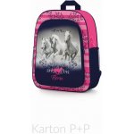 Karton P+P Kůň 7-68617 – Sleviste.cz