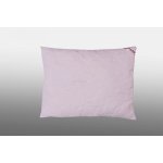 2G polštář Aneta 220g 40x40 – Zboží Dáma