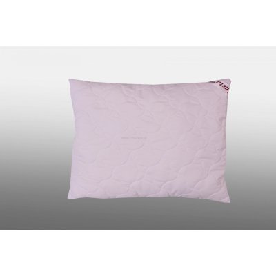 2G polštář Aneta 220g 40x40 – Zboží Dáma