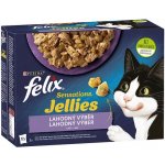 Felix Sensations výběr v ochuceném želé s jehněčím makrelou sleďem a krůtou 12 x 85 g – Hledejceny.cz