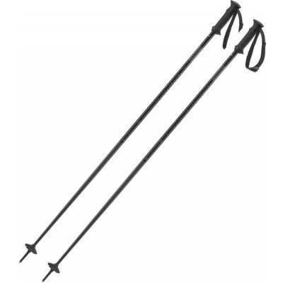 Salomon Polar Access 2024/25 – Zboží Dáma