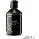 Zinzino BalanceOil Premium 300 ml