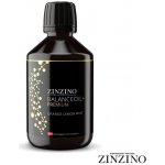 Zinzino BalanceOil Premium 300 ml – Hledejceny.cz
