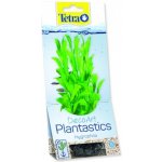 Tetra Hygrophila S 15 cm – Sleviste.cz