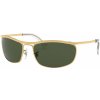 Sluneční brýle Ray-Ban RB3119 001