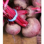 Řepa salátová Pablo F1 - červená kulatá - Beta vulgaris - semena - 50 ks – Zboží Mobilmania