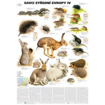 Plakát - Savci střední Evropy IV. - Hmyzožravci, zajíci