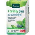 Kneipp Werke 3 bylinky na odvodnění 60 tobolek – Hledejceny.cz