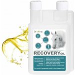 Dromy Recovery oil 1 l – Hledejceny.cz