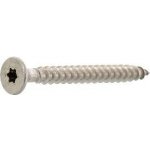 Vrut do dřevotřísky zápustná hlava plný závit 3.5x 16 Torx 10 nerez A2 (500 ks) – Hledejceny.cz