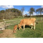 Na den farmářem na Farmě Košík – Hledejceny.cz